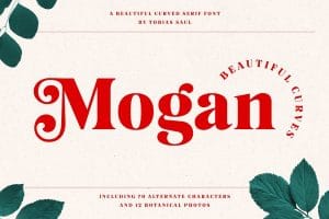 Mogan Font tuyệt đẹp và ấn tượng preview 1