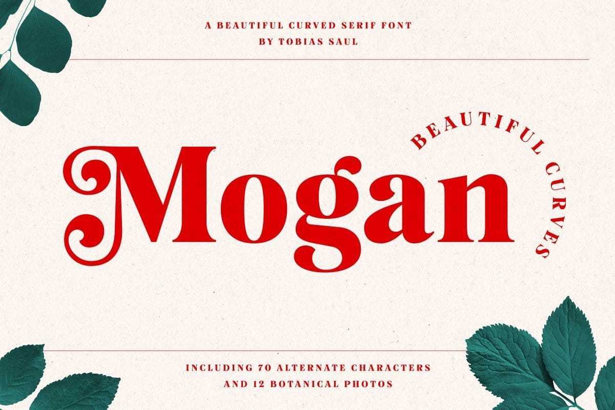 Mogan Font tuyệt đẹp và ấn tượng preview 1