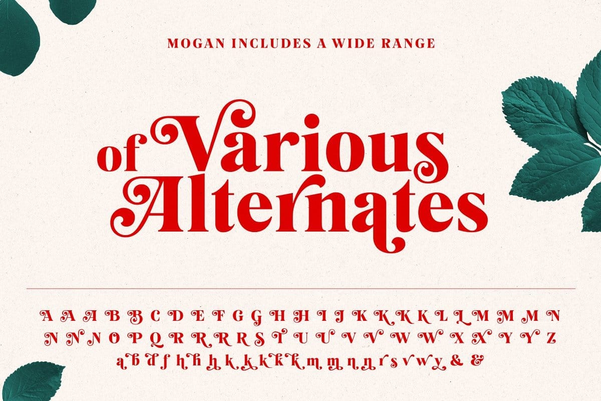 Mogan Font tuyệt đẹp và ấn tượng preview 3