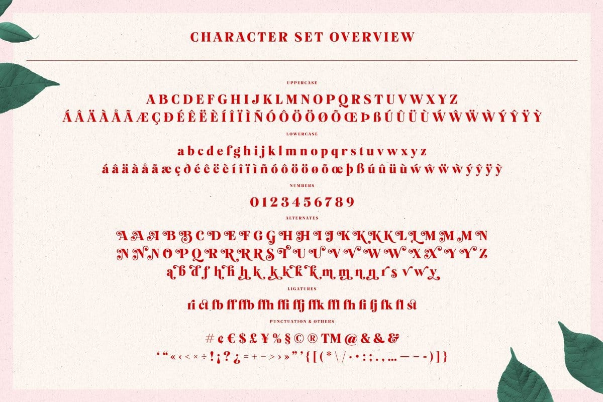 Mogan Font tuyệt đẹp và ấn tượng preview 4