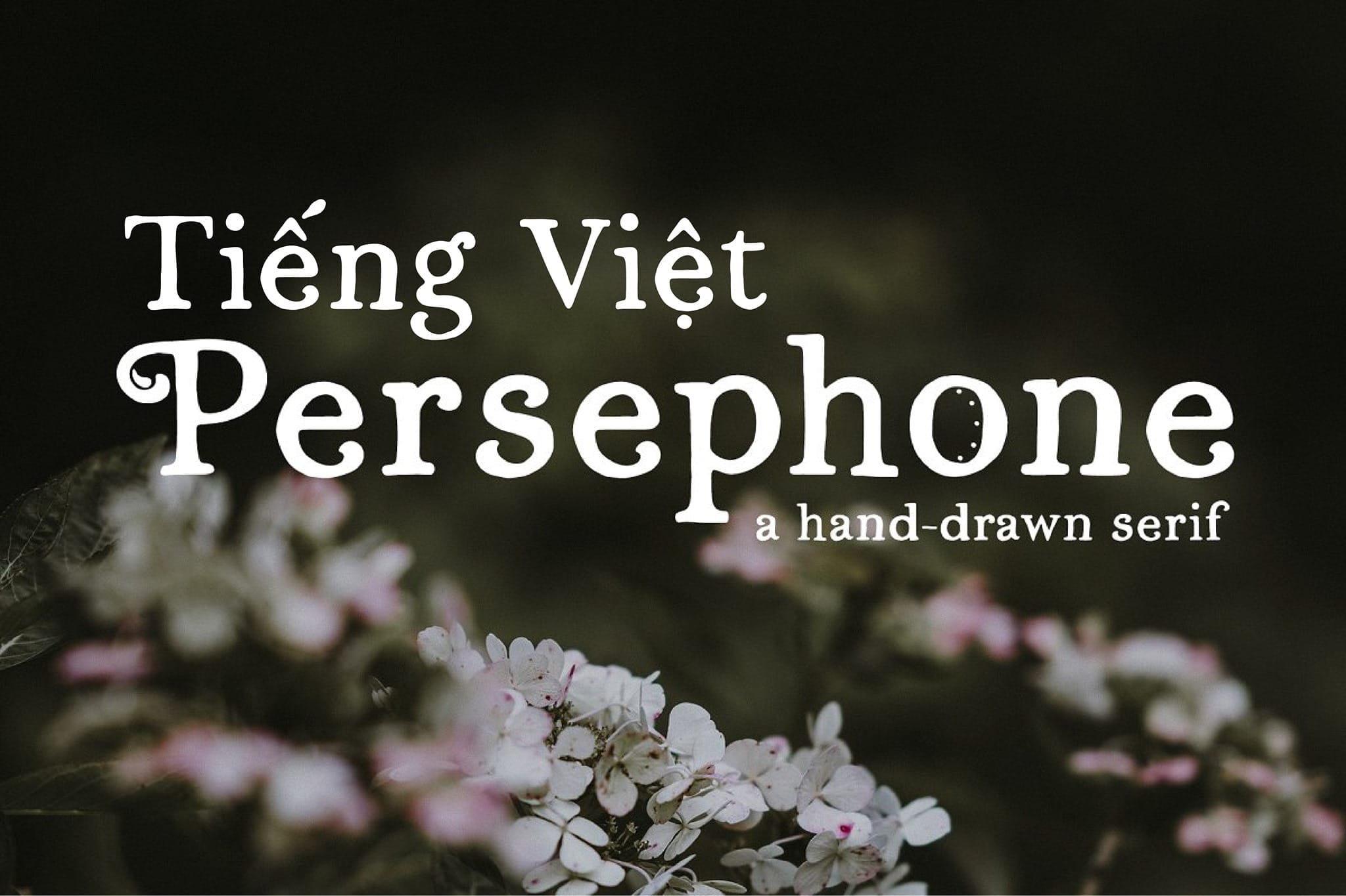 Font Việt Hóa Persephone A Hand-Drawn Serif preview 1