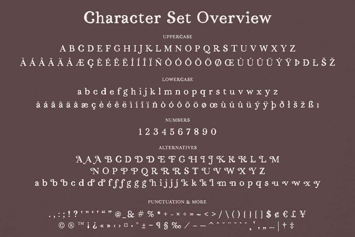 Font Việt Hóa Persephone A Hand-Drawn Serif preview 5