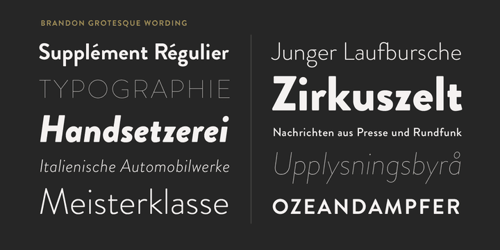 trọn bộ font Brandon Grotesque preview 2