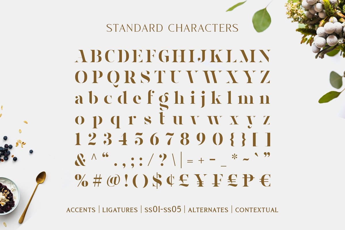 Font MTD Magnies Việt Hóa preview 7