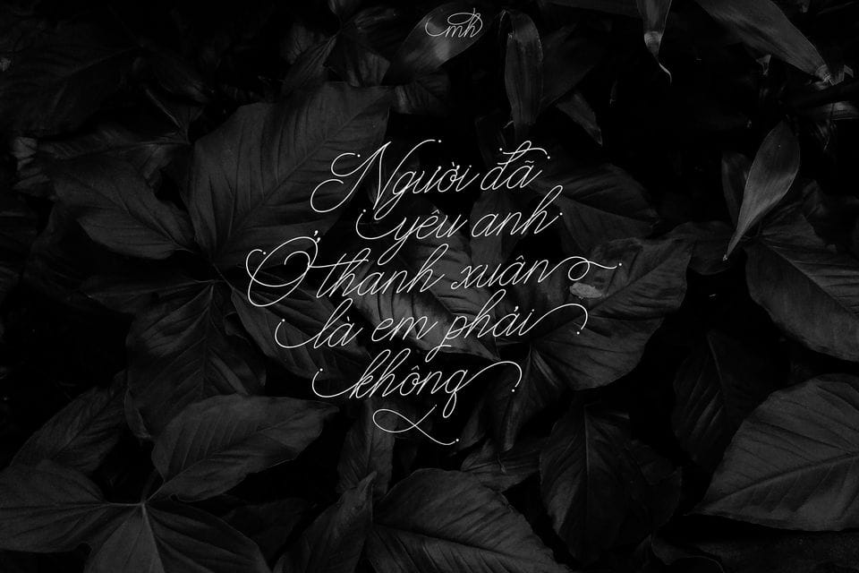 Font 50 font MTD Việt Hóa preview 1