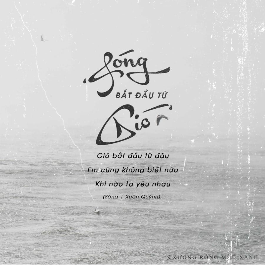 Font 50 font MTD Việt Hóa preview 4