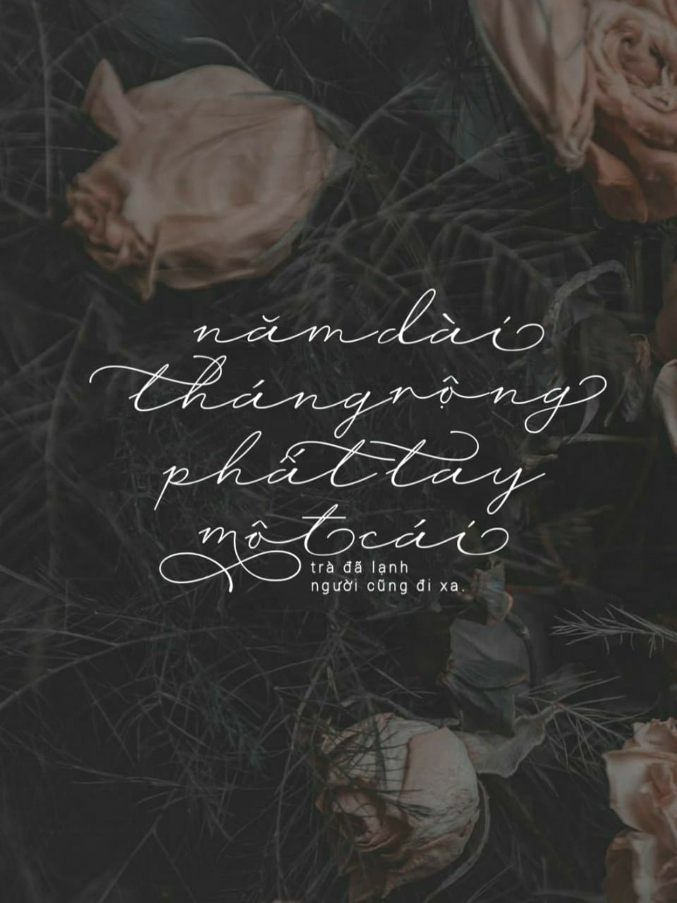 Font Wisteria Notes Việt Hóa preview 3