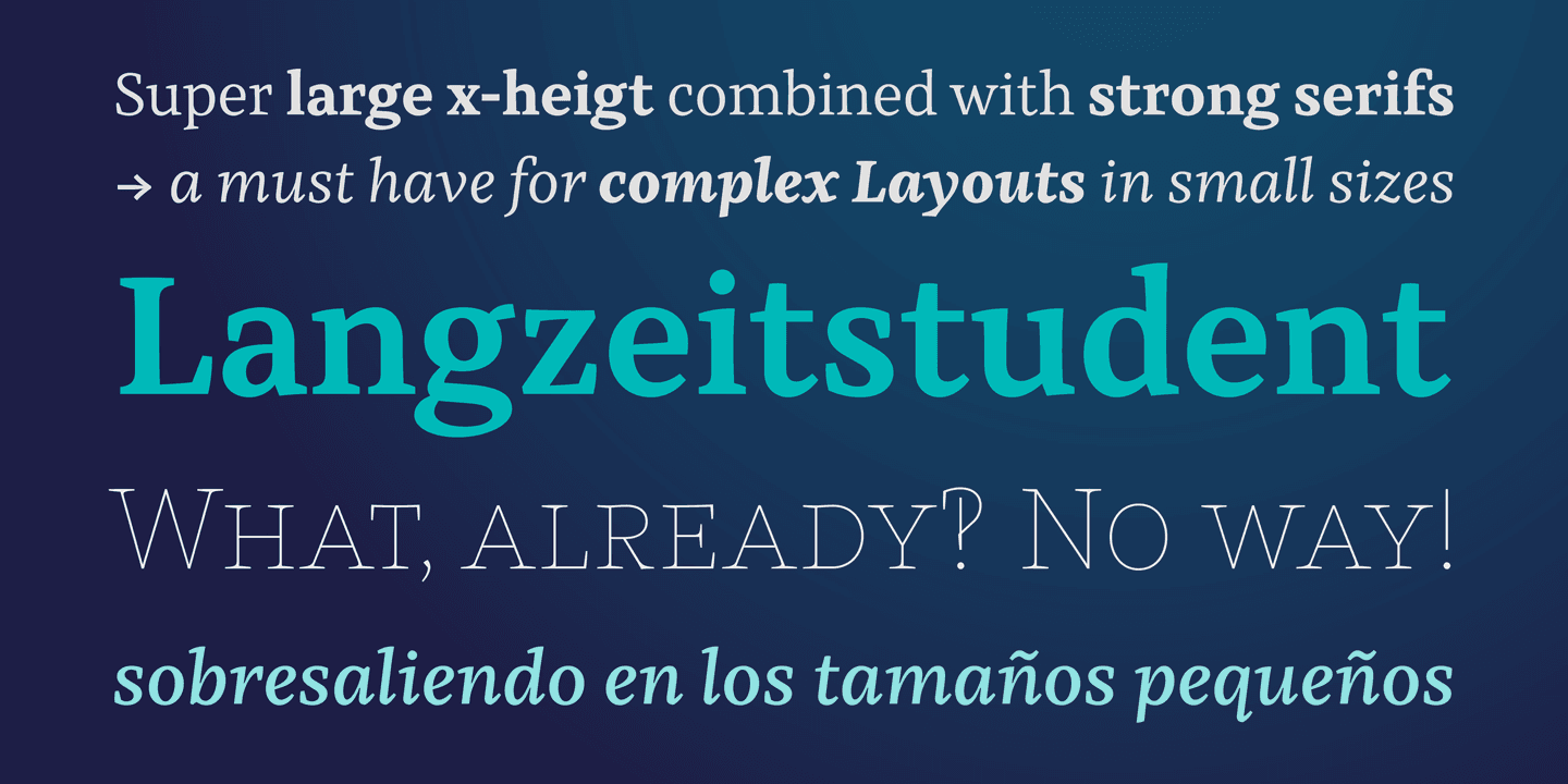 Kaius Pro Font Family preview 7