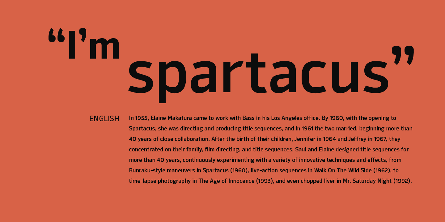 Syke Font Family preview 10
