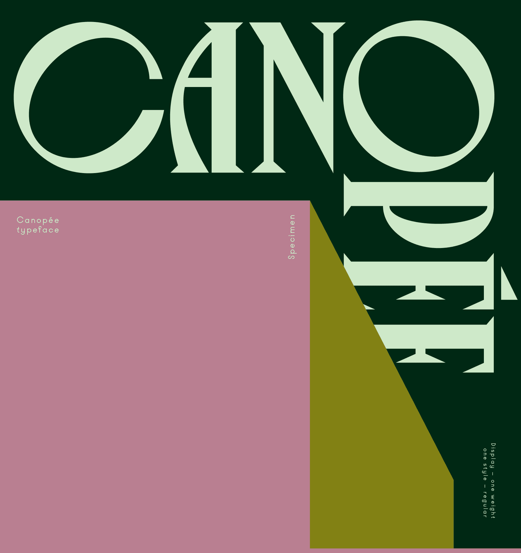 VJ Canopee Typeface – Font độc đáo đẹp mắt VJ Canopee Typeface preview 1