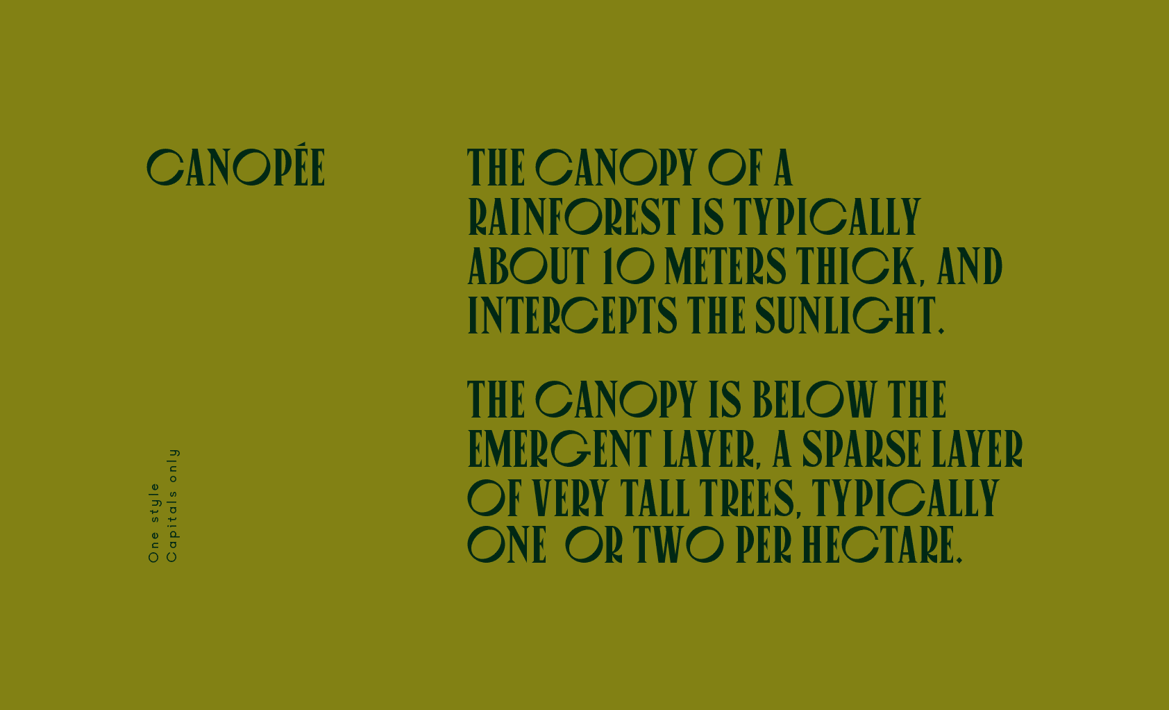 VJ Canopee Typeface preview 4