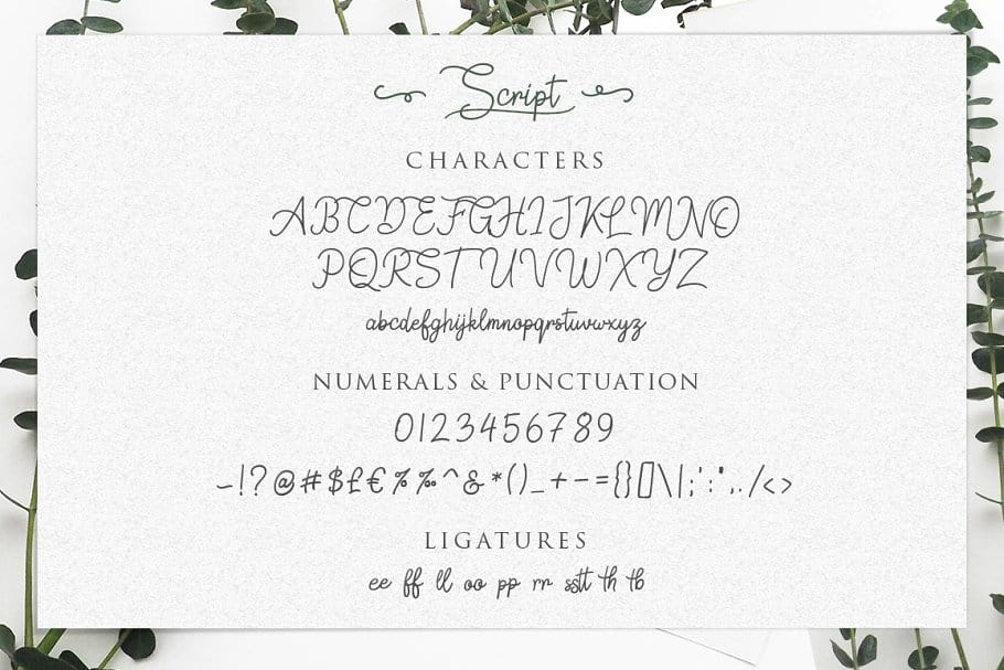 Font Springfield preview 4