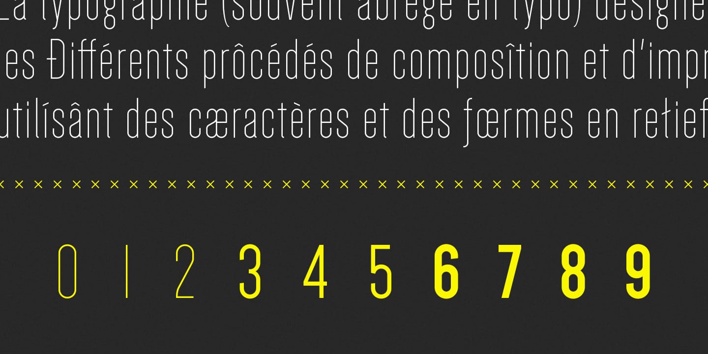 Dense Font Family preview 3