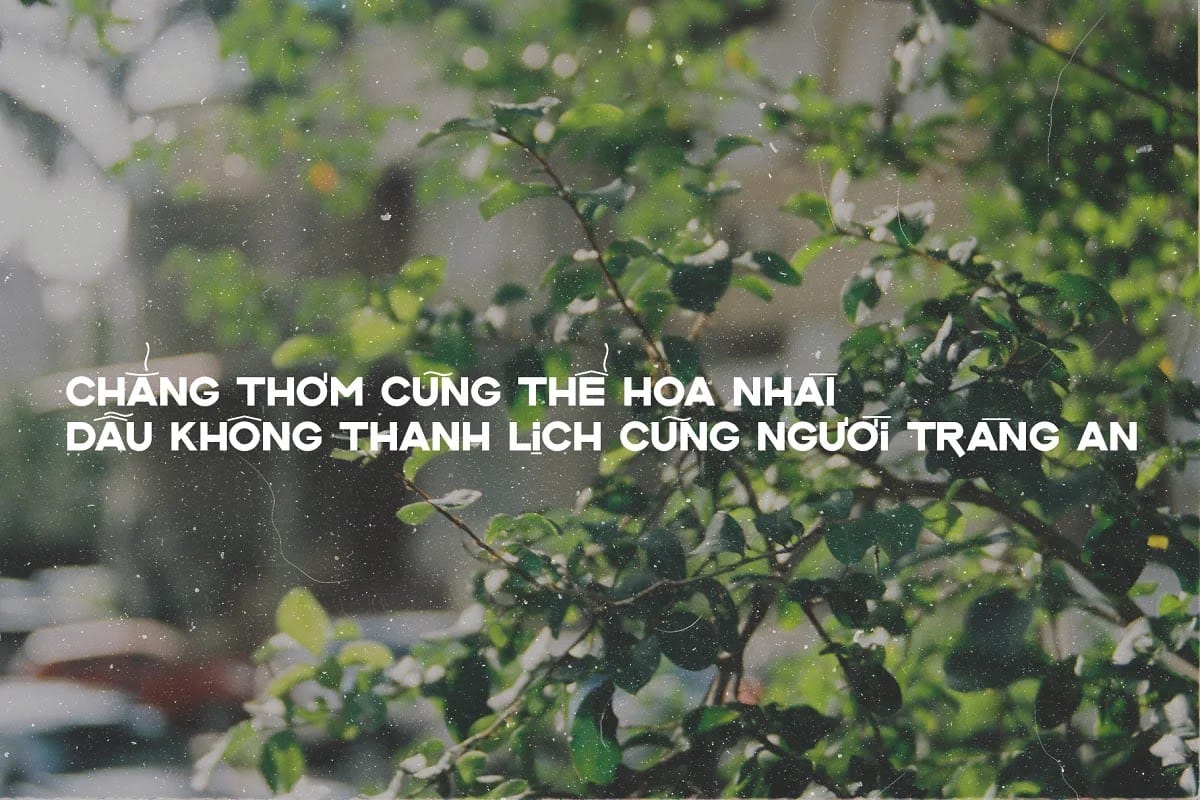 Font L'Hanoienne Typeface preview 5
