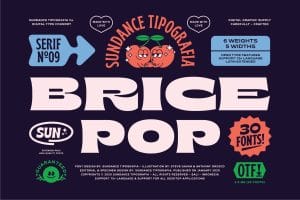 Brice Font Family Full preview 1