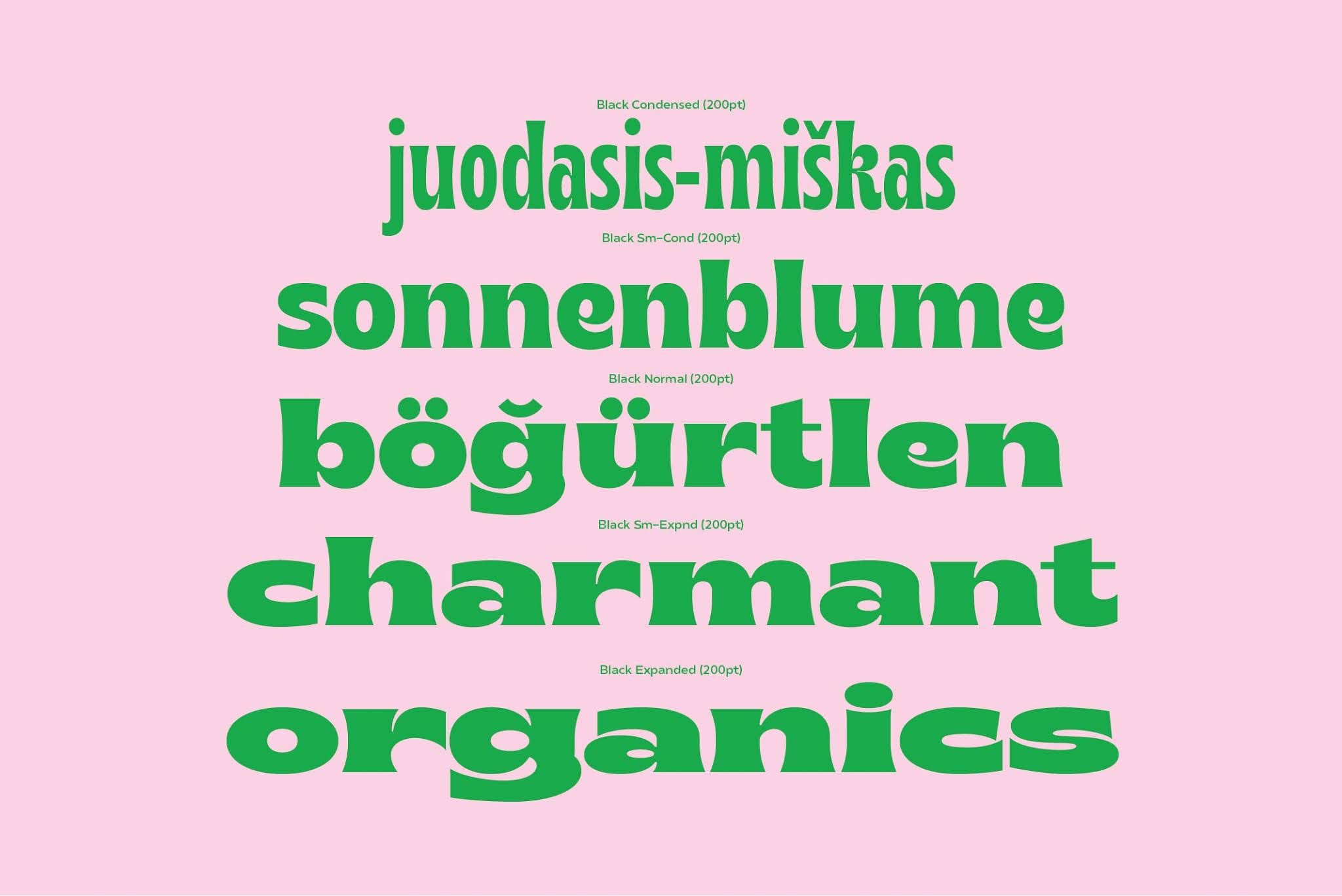 Brice Font Family Full preview 10