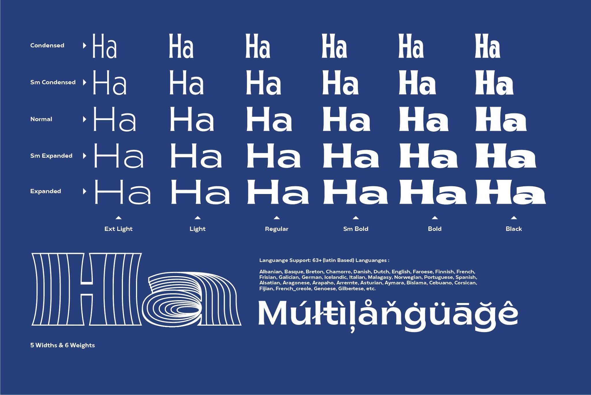 Brice Font Family Full preview 5