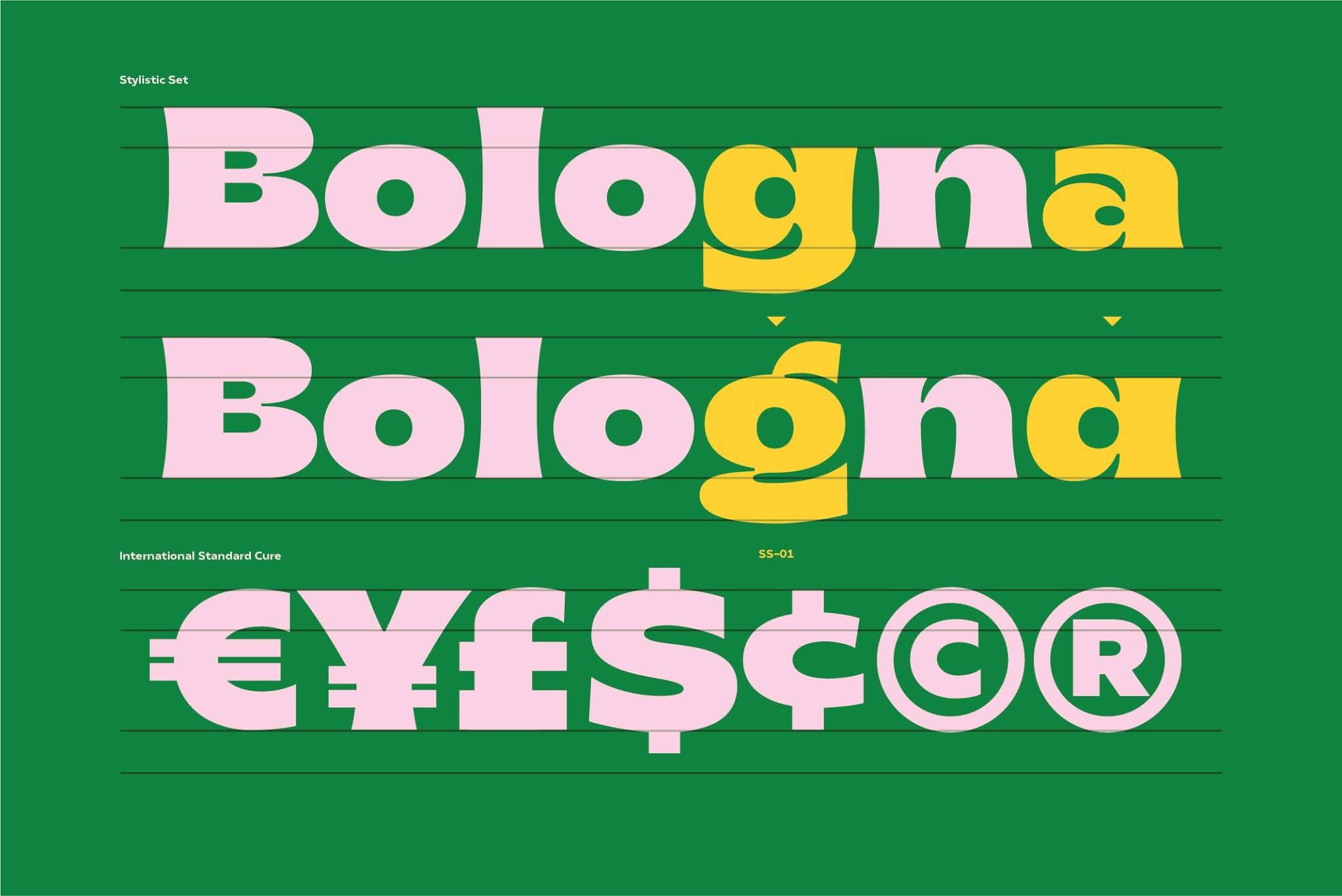 Brice Font Family Full preview 9