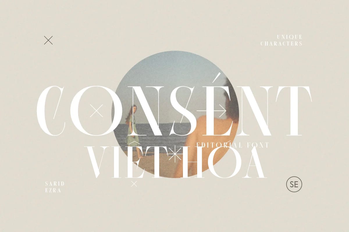 Font việt hóa Consent – Editorial Serif Font việt hóa Consent preview 1
