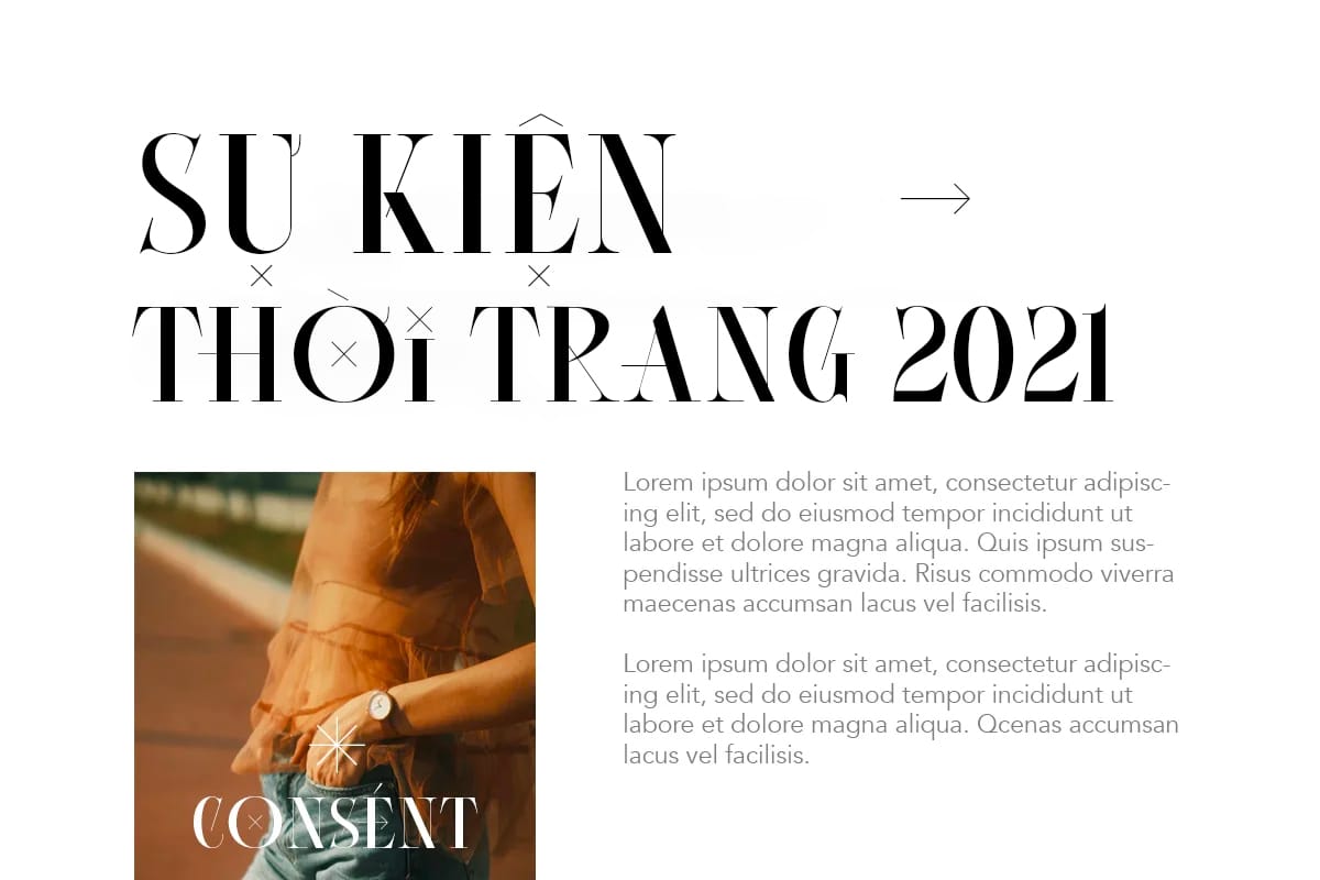 Font việt hóa Consent - Editorial Serif Font việt hóa Consent preview 2
