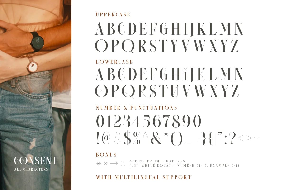 Font việt hóa Consent - Editorial Serif Font việt hóa Consent preview 3