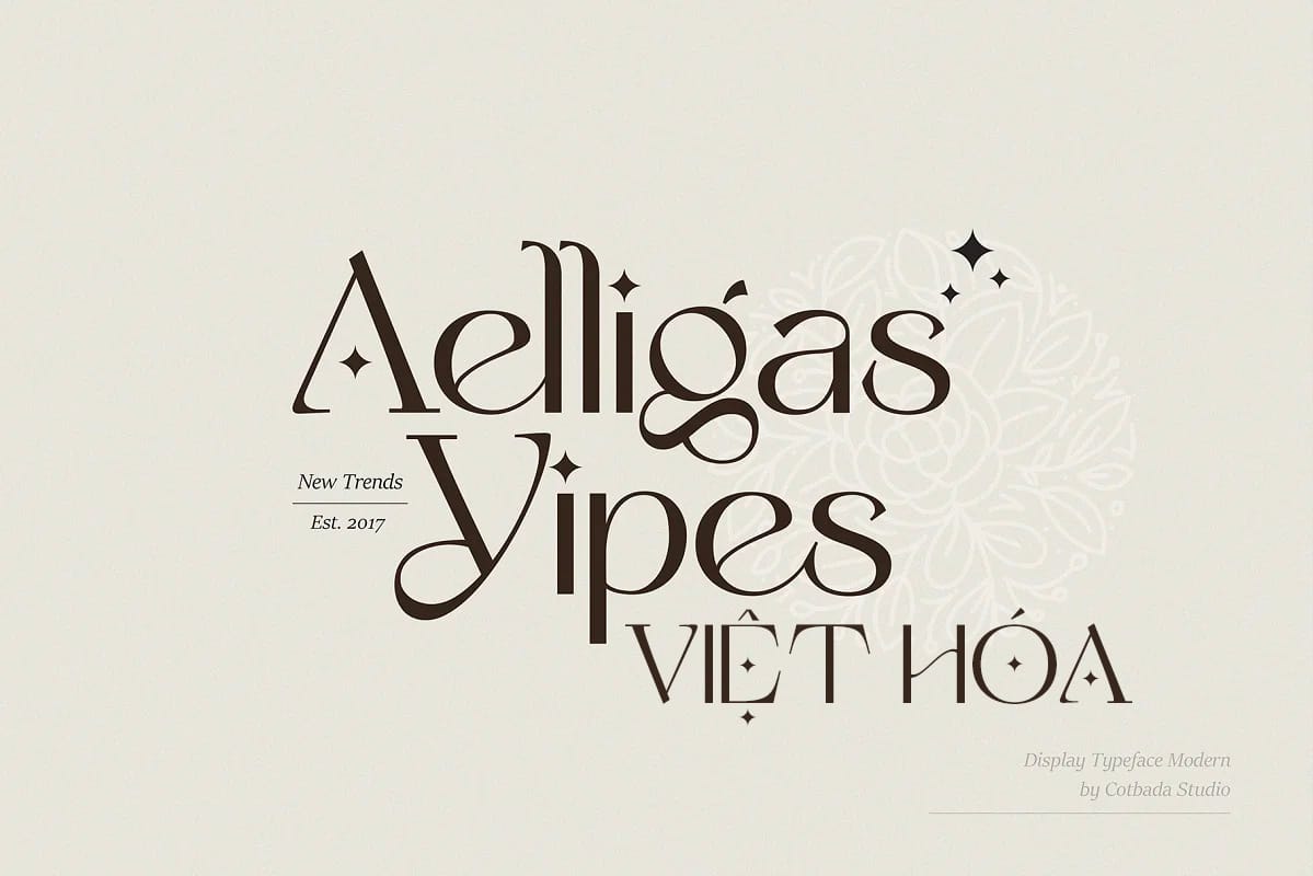 Font Yipes Display Typeface Việt Hóa preview 1