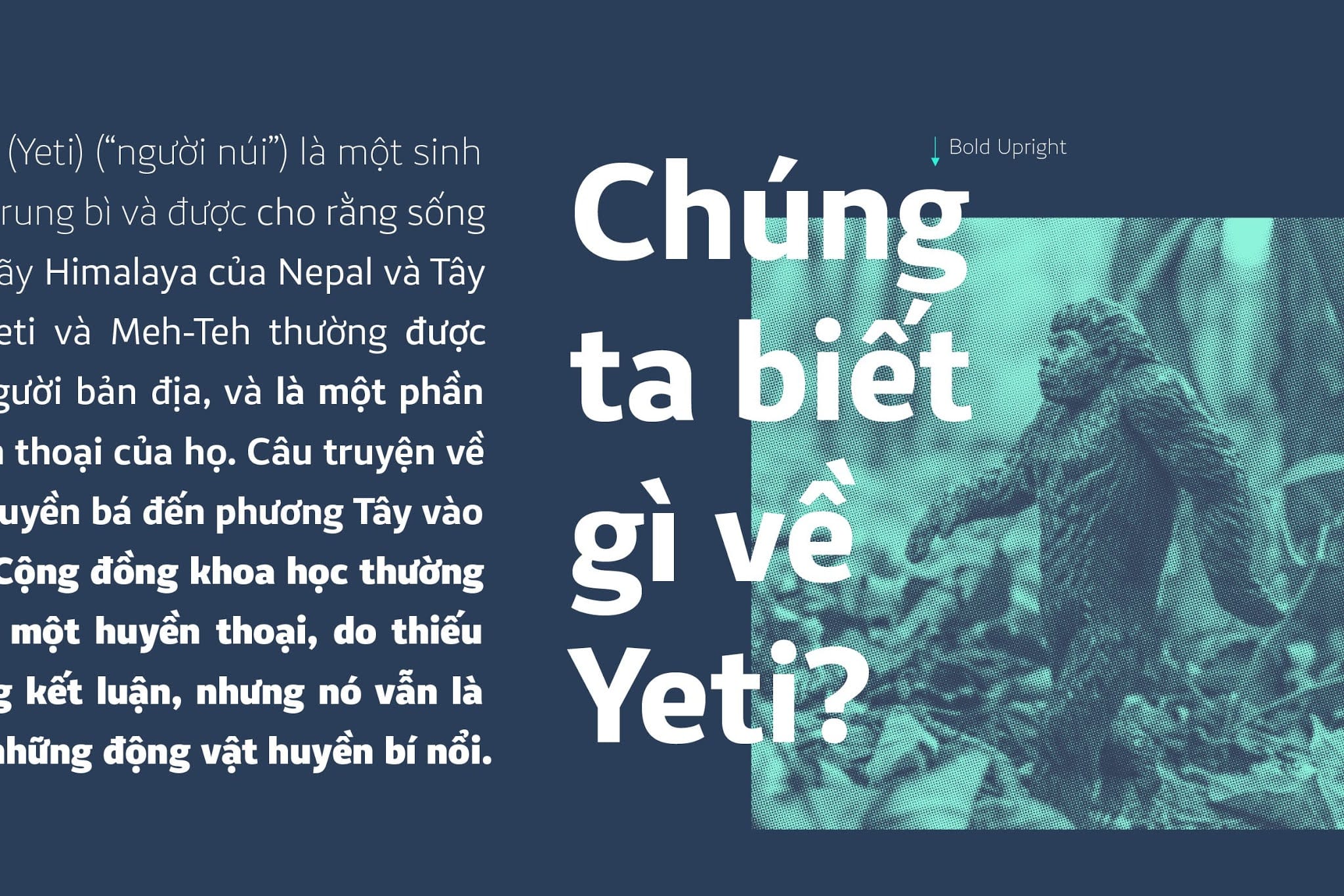 VanSans Type Family preview 11