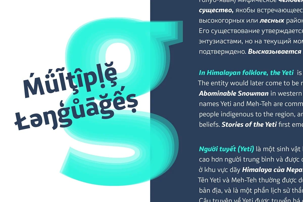 VanSans Type Family preview 12