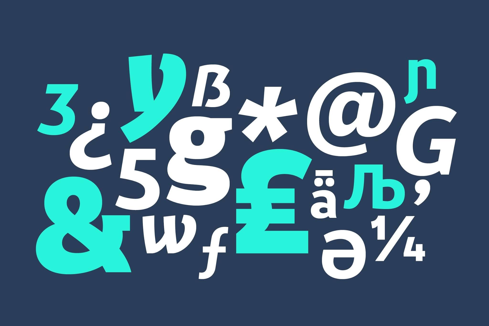 VanSans Type Family preview 13