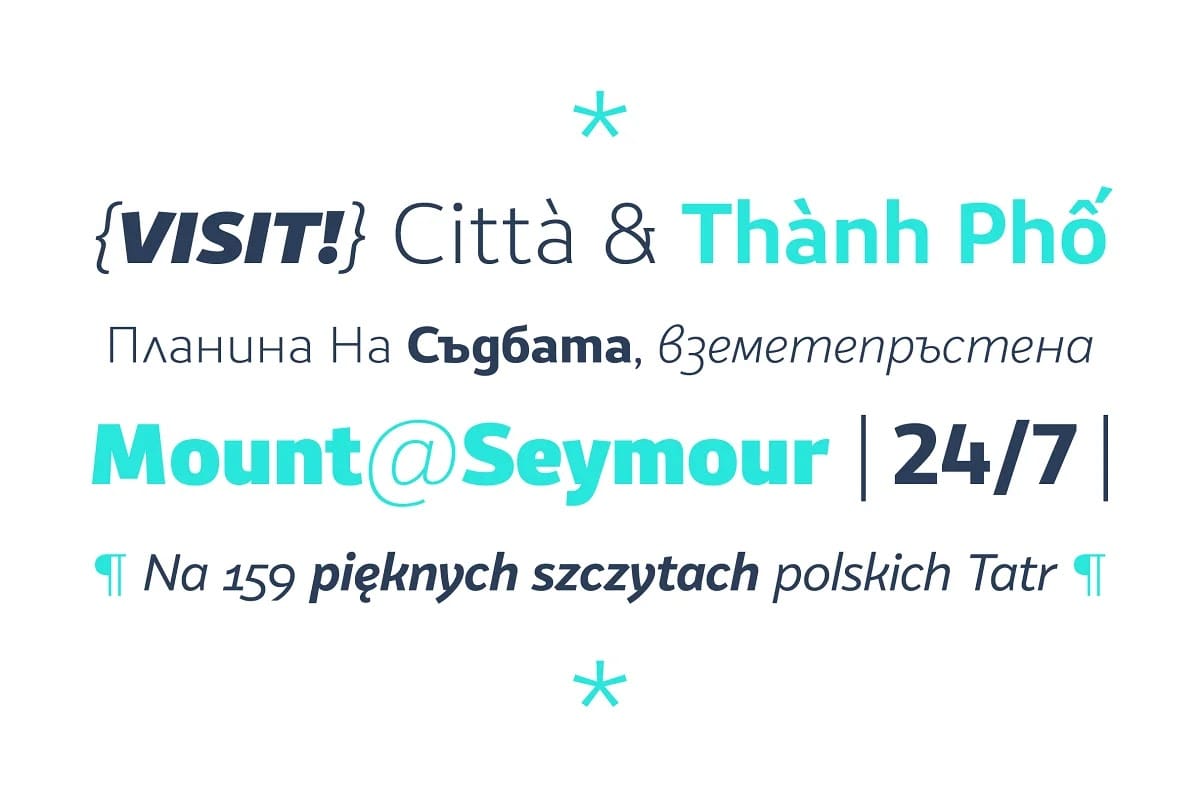 VanSans Type Family preview 3