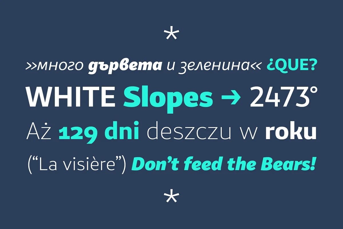 VanSans Type Family preview 7