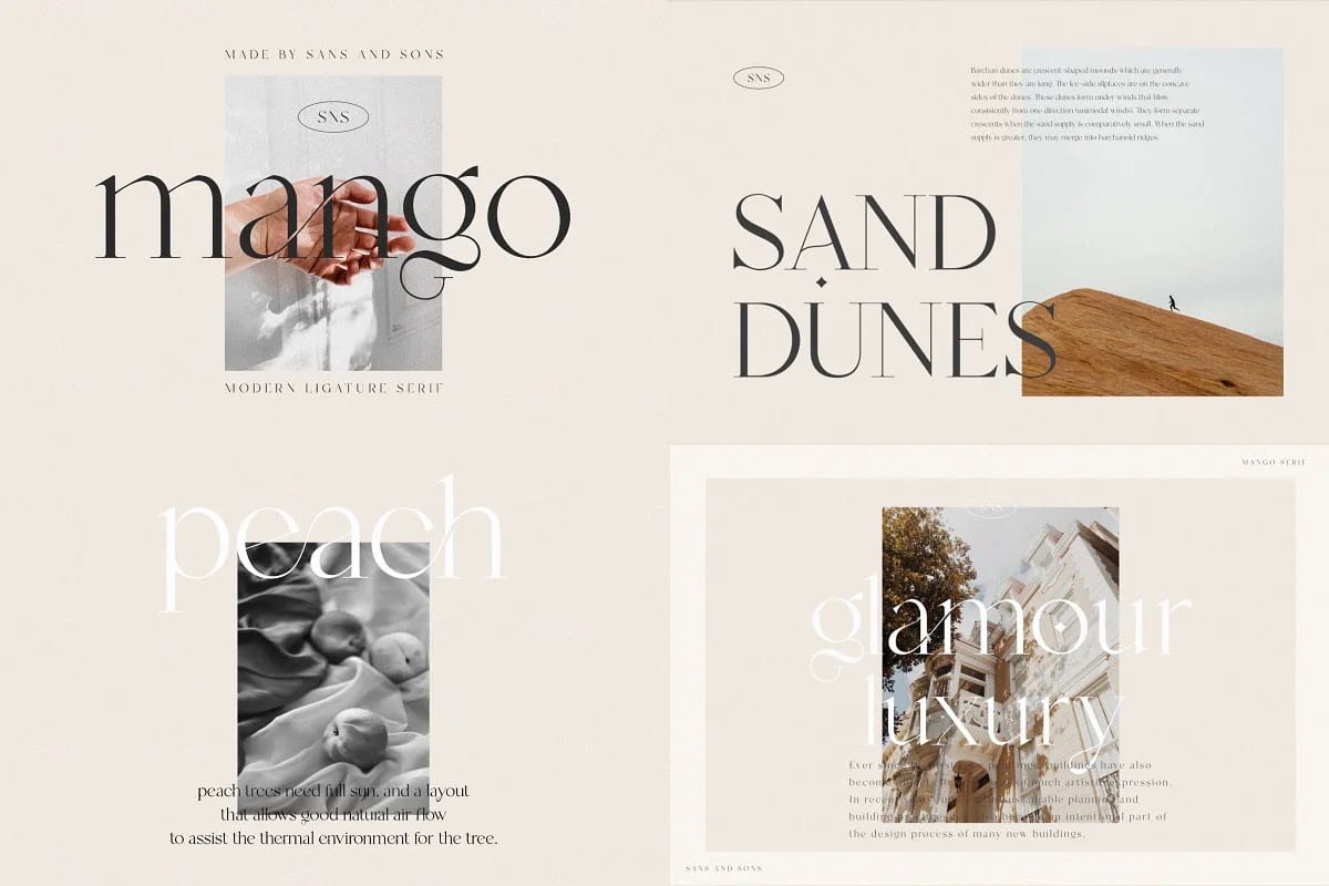 10 font chữ preview 11