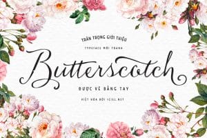 Font Butterscotch Việt Hóa preview 1