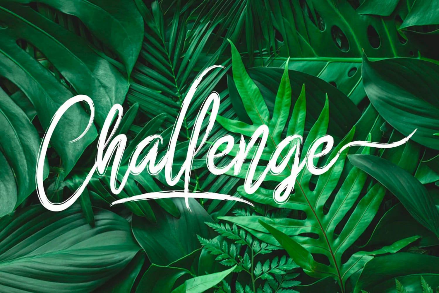 Font Fathan Việt Hóa preview 3