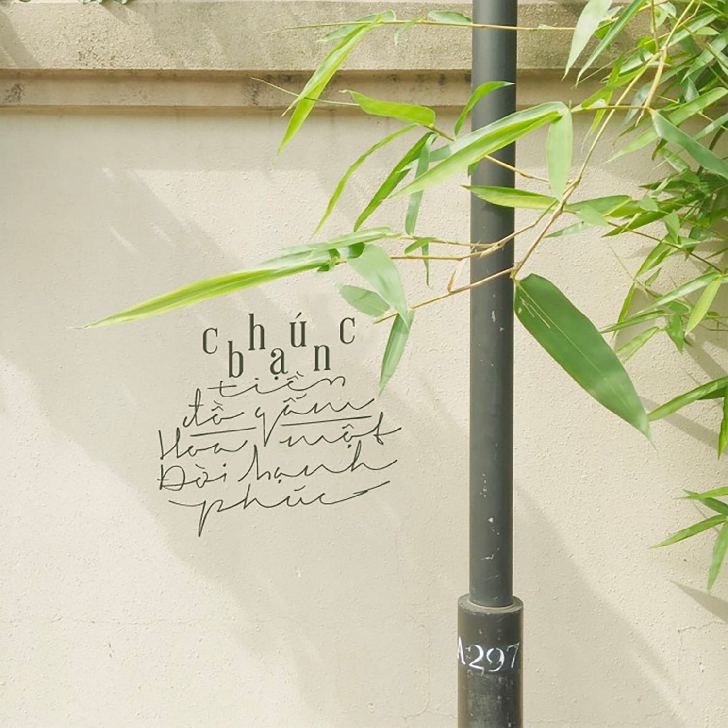 Font Signerica Việt hóa preview 2