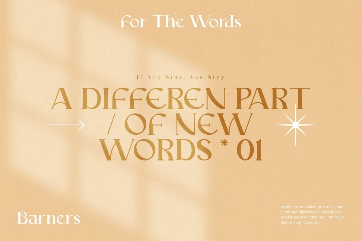 Mariona Luxury Serif Font preview 5