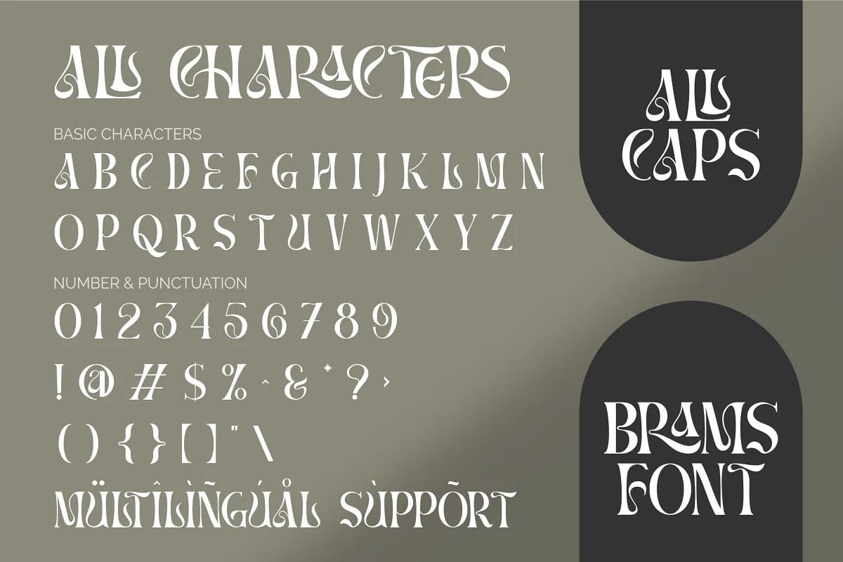 BRAMS Display Serif Font preview 10