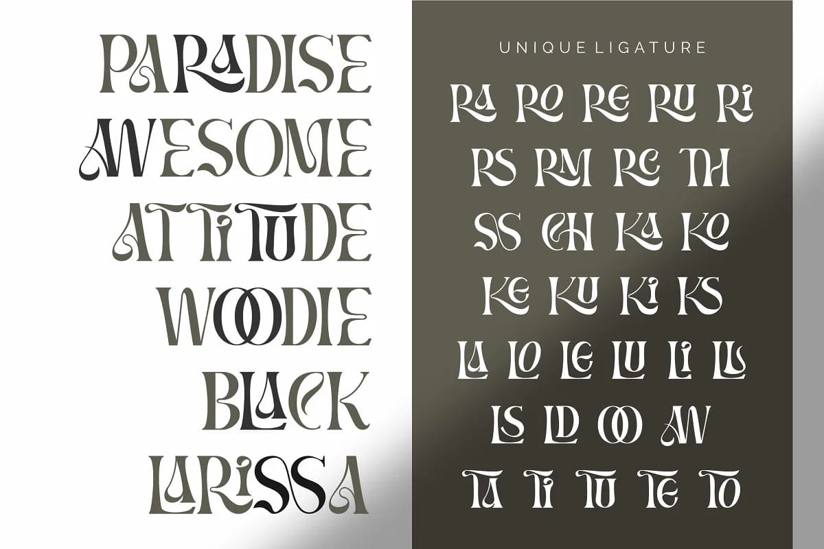 BRAMS Display Serif Font preview 6