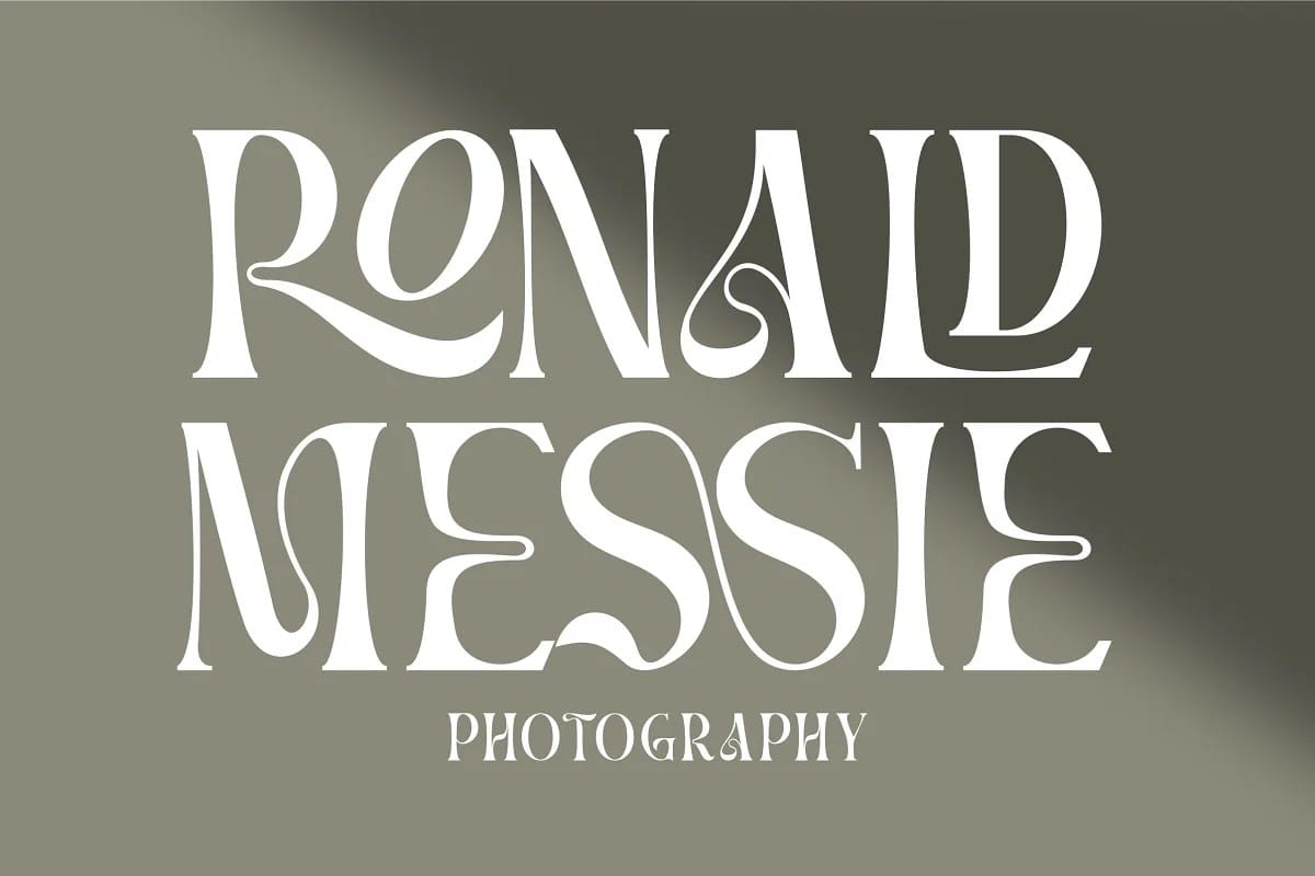 BRAMS Display Serif Font preview 9