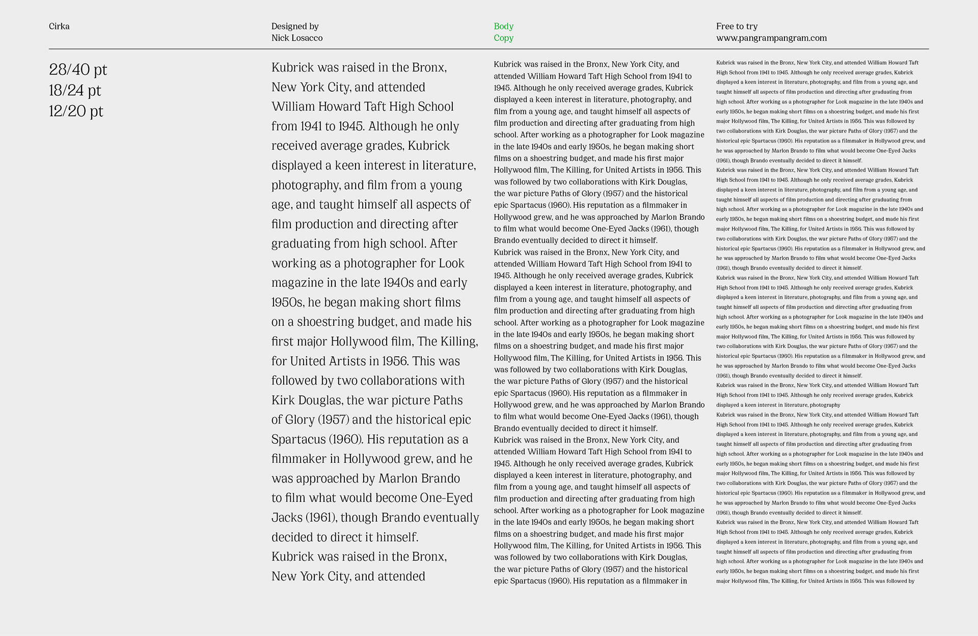 Cirka Font Family Full 4 font preview 4