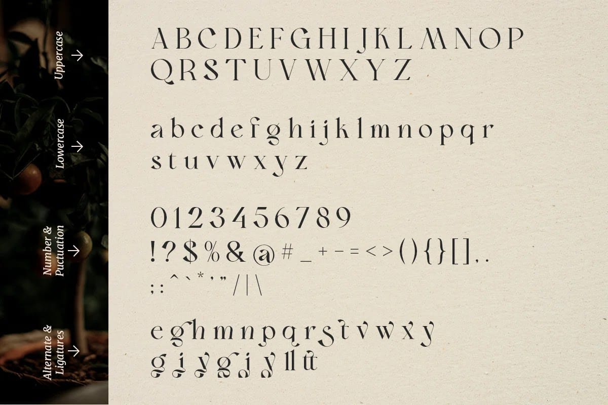 Font Bon Foyage Việt Hóa preview 7