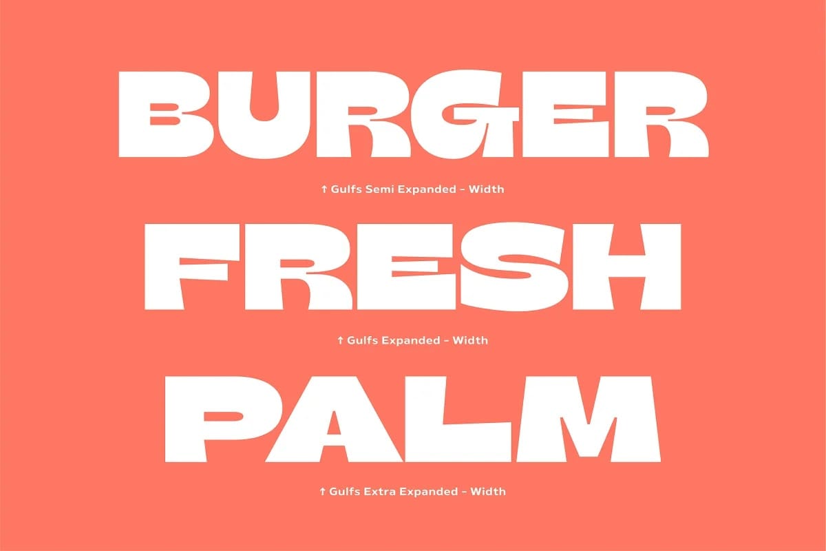 Gulfs Display Font Family preview 8