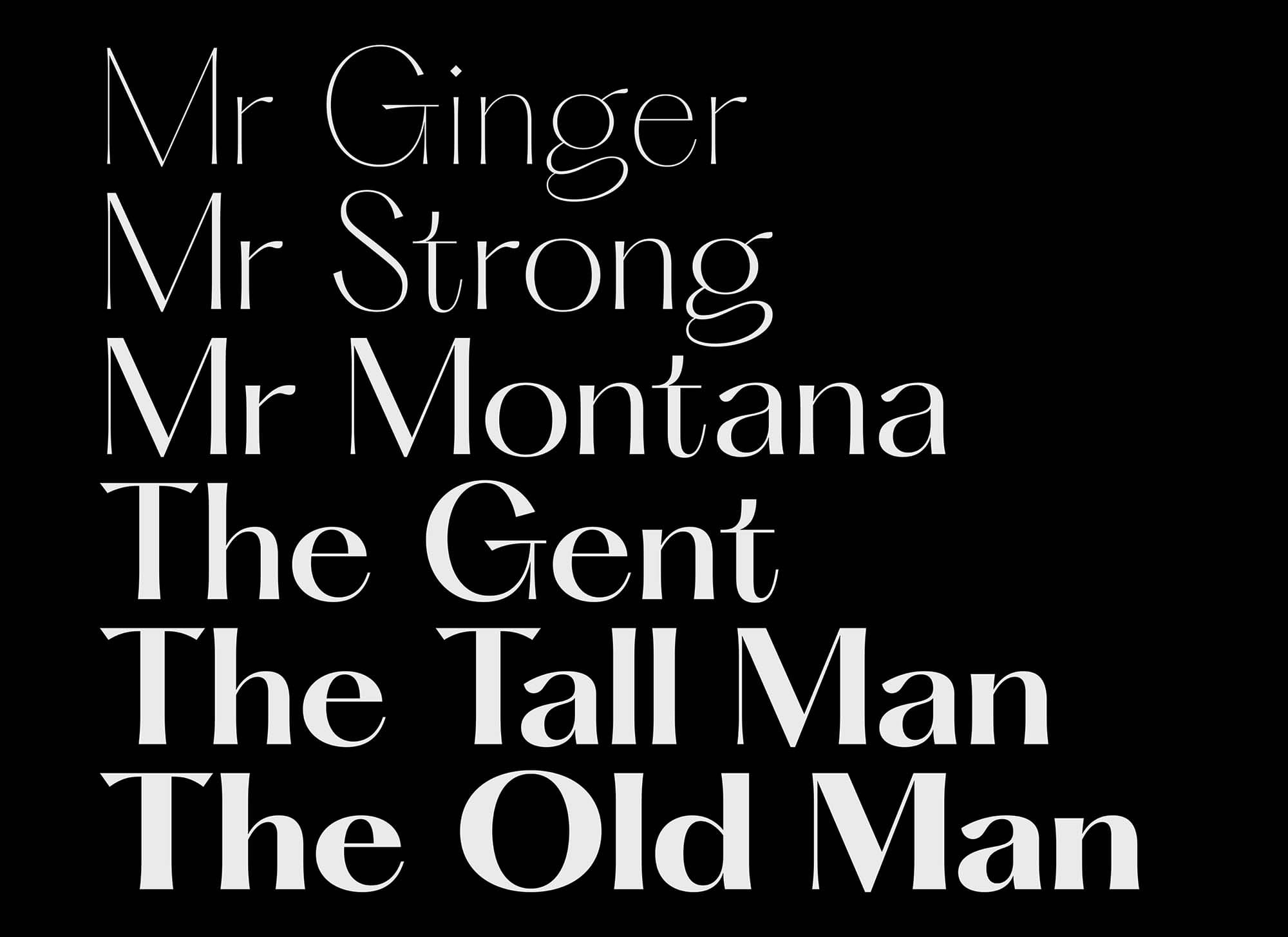 Hatton Font Family Full 8 font preview 2