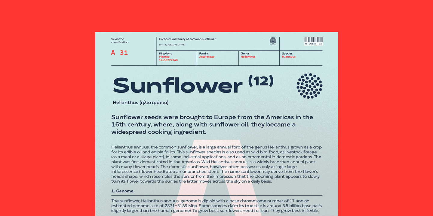 Matahari Sans Font Family preview 7