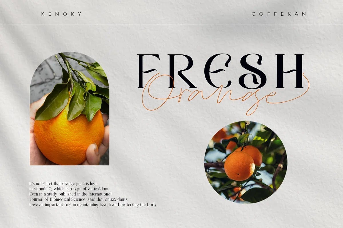 Tải trọn bộ font Kenoky Coffekan (14 font) trọn bộ font Kenoky Coffekan preview 13