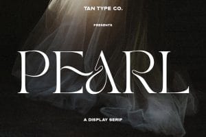 TAN preview 1