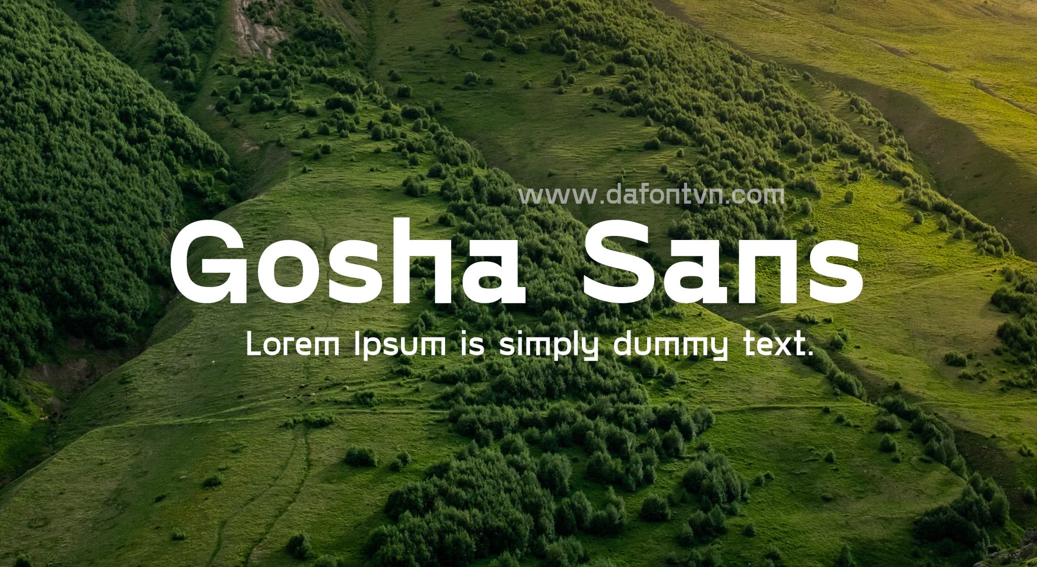 Gosha Sans Font Family 6 styles preview 1
