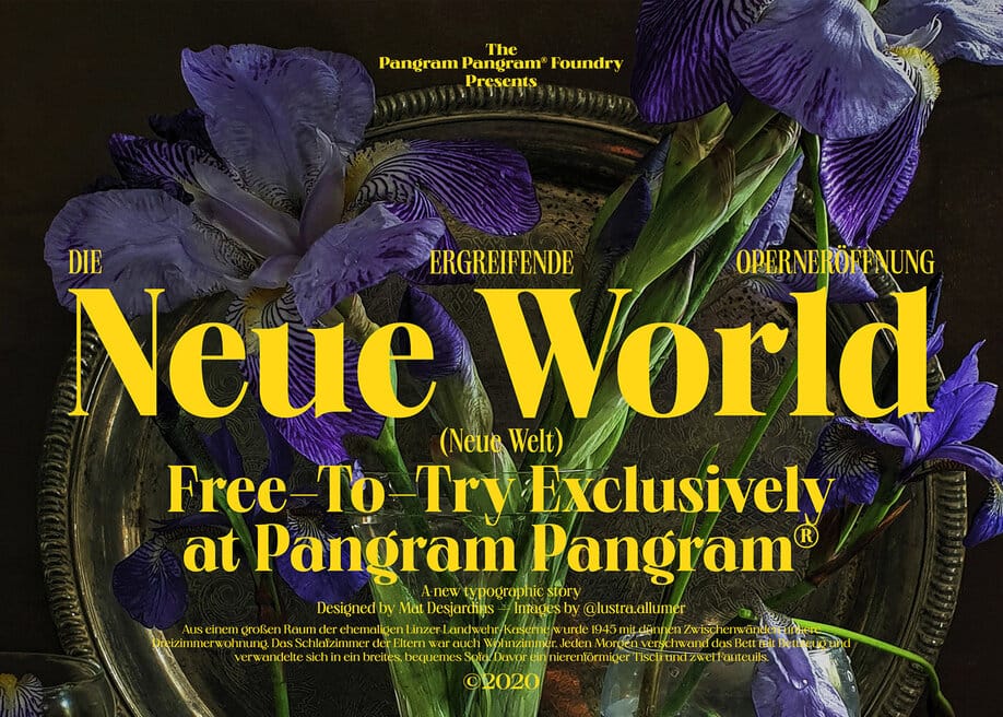 Download Neue World Font Family 48 styles Neue World Font Family 48 styles preview 1