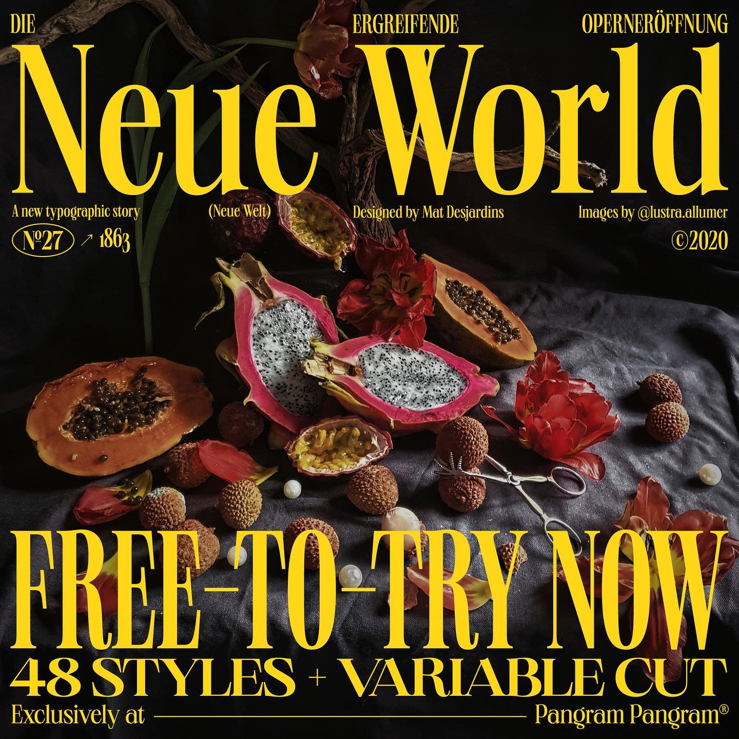 Download Neue World Font Family 48 styles Neue World Font Family 48 styles preview 2