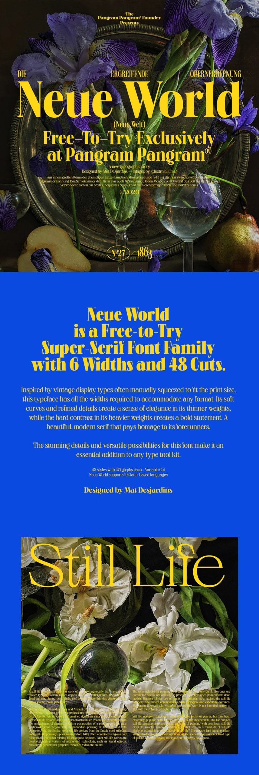 Download Neue World Font Family 48 styles Neue World Font Family 48 styles preview 3